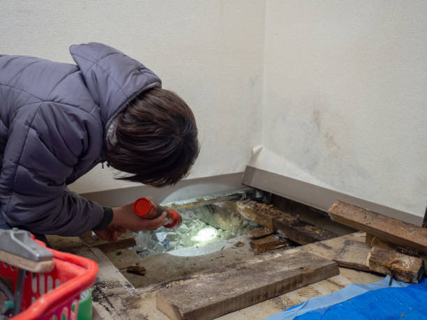  Glasco, NY Mold Removal Pros