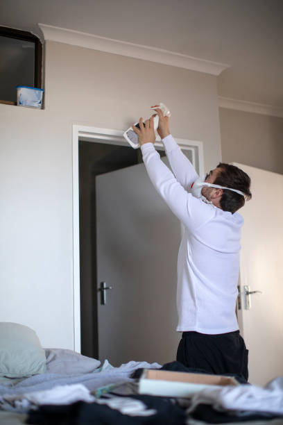 Mold Remediation for Rental Properties in Glasco, NY