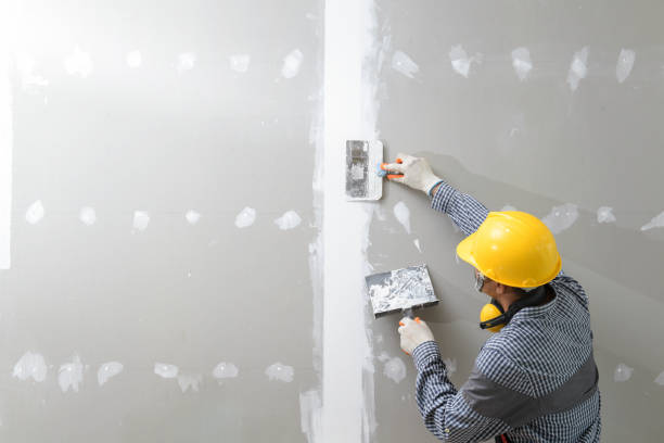 Reliable Glasco, NY Mold Removal Solutions