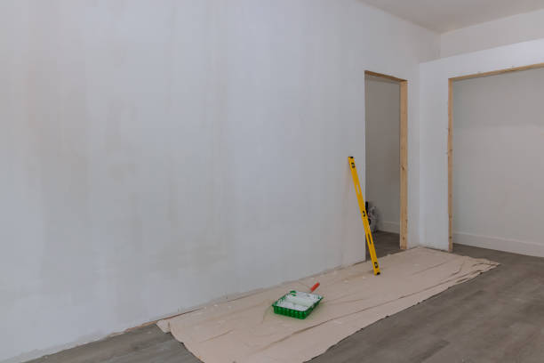 Mold Documentation for Insurance Claims in Glasco, NY