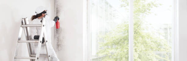 Best Air Quality Testing for Mold Spores  in Glasco, NY